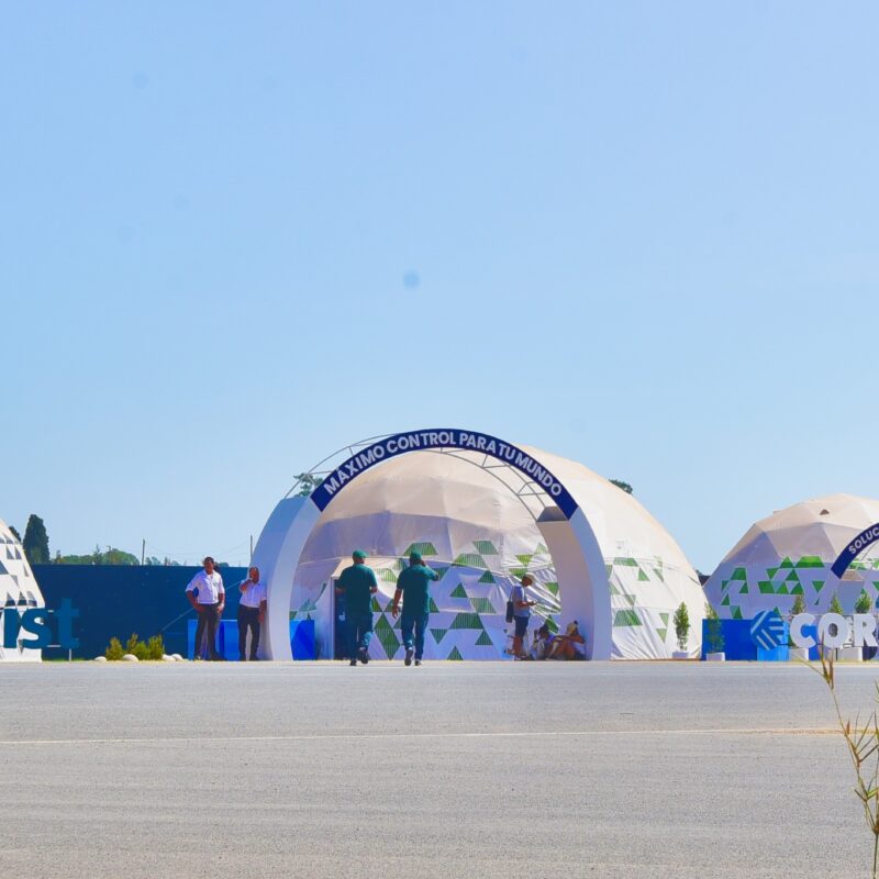 DSC_0656 (1)